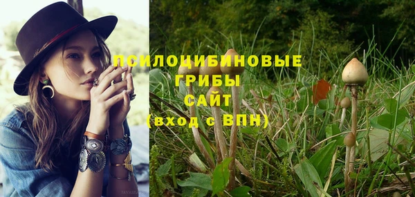 МДПВ Верея