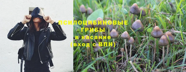 jwh Верхний Тагил
