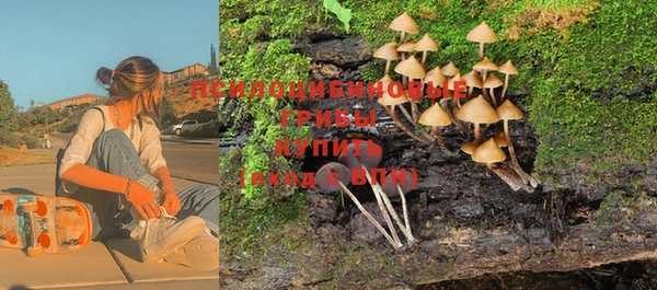 МДПВ Верея