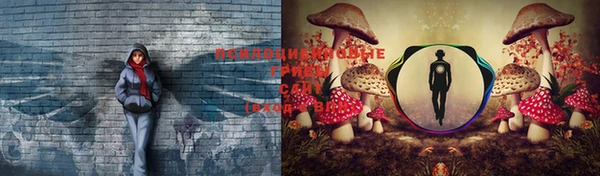 МДПВ Верея